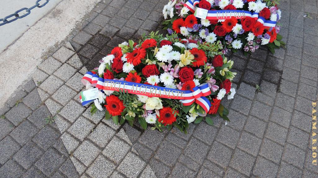 2024 07 05 TOULON   CEREMONIE DU MASSACRE D ORAN DU 5 JUILLET 1962 (8).JPG -           